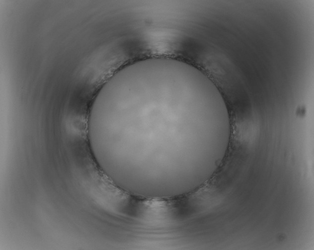 X0000112520419200909141227