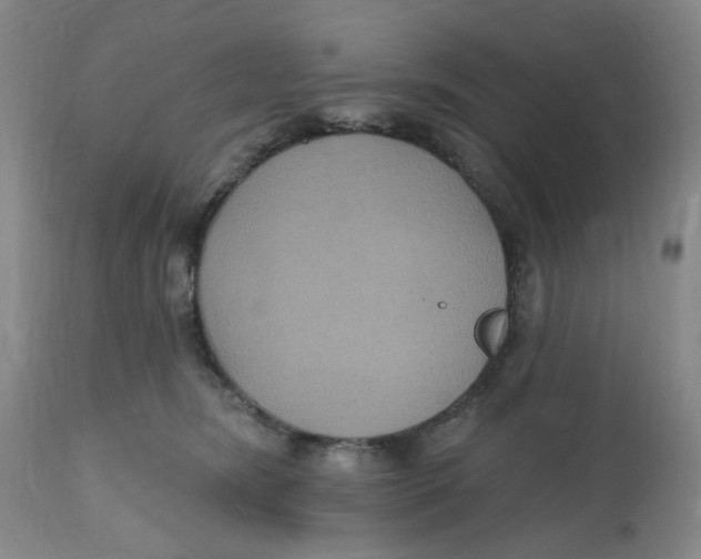 X0000112520420200909141227