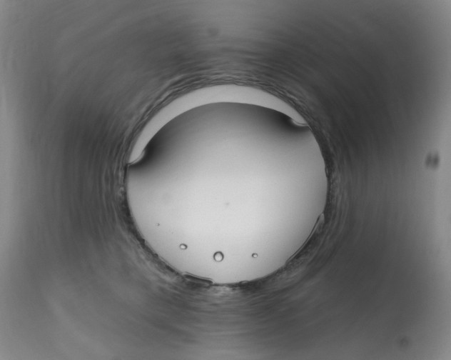 X0000112520421200909141227