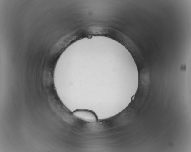 X0000112520422200909141227