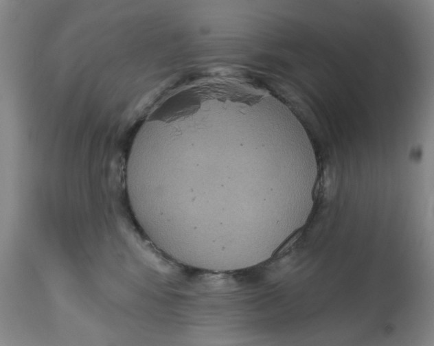 X0000112520424200909141227