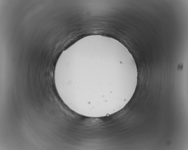 X0000112520427200909141227