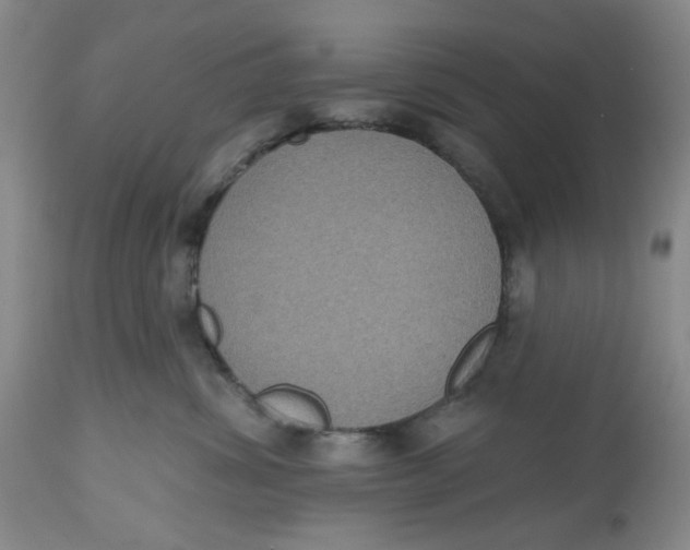 X0000112520428200909141227