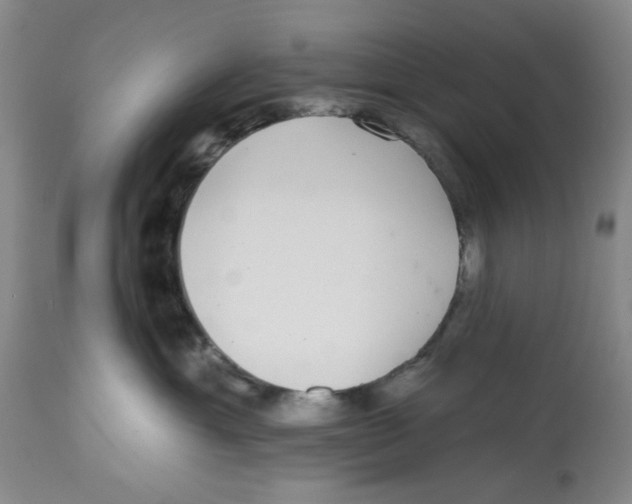 X0000112520429200909141227