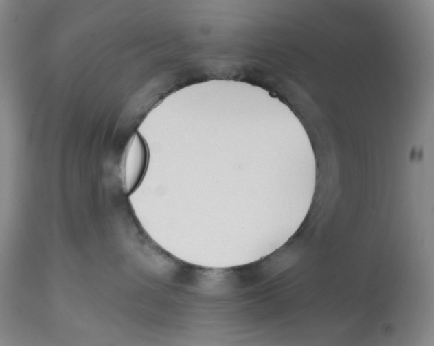 X0000112520432200909141227