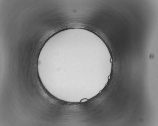 X0000112520433200909141226