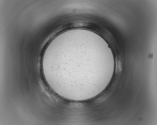 X0000112520435200909141226