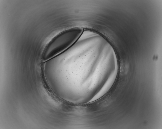 X0000112520436200909141227