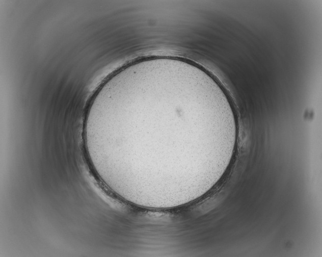 X0000112520437200909141227