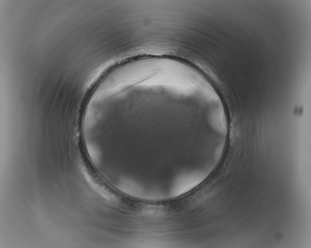 X0000112520438200909141227