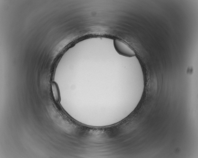 X0000112520440200909141227