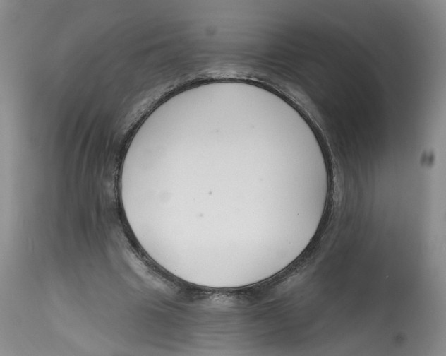 X0000112520441200909141227