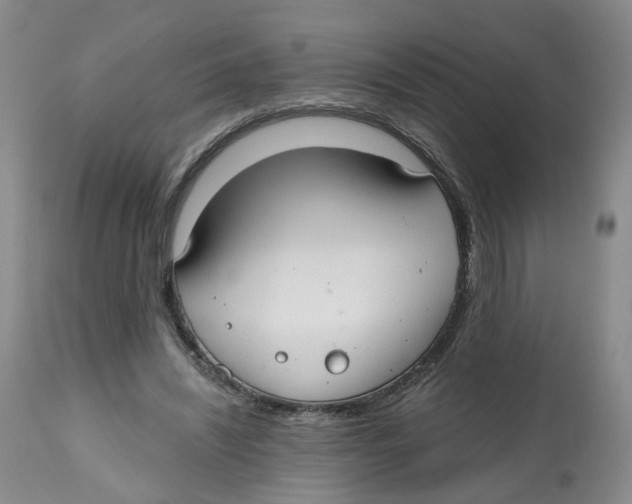 X0000112520444200909141227