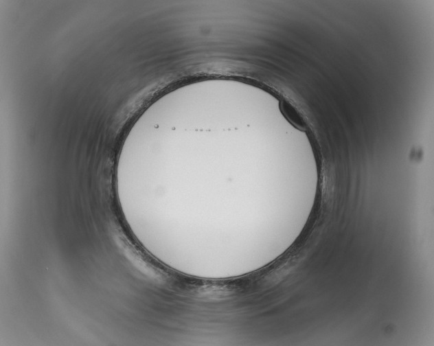 X0000112520445200909141227