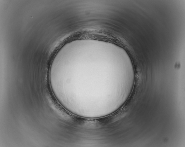 X0000112520446200909141227
