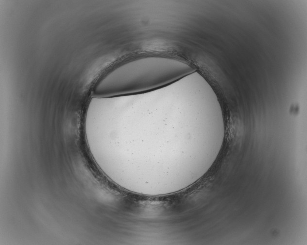 X0000112520448200909141227