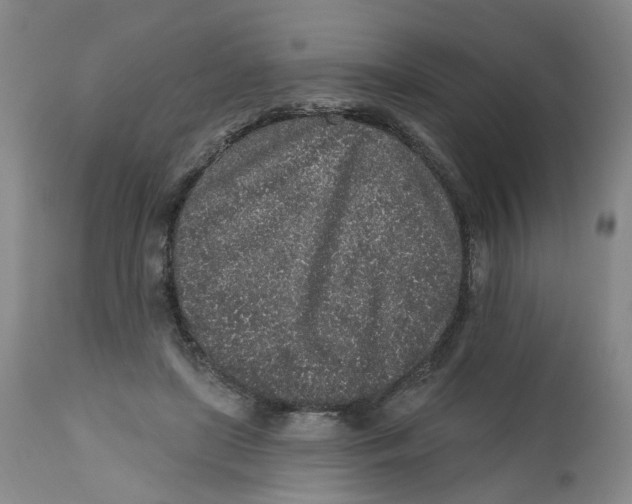 X0000112520451200909141227