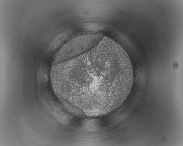 X0000112520452200909141227