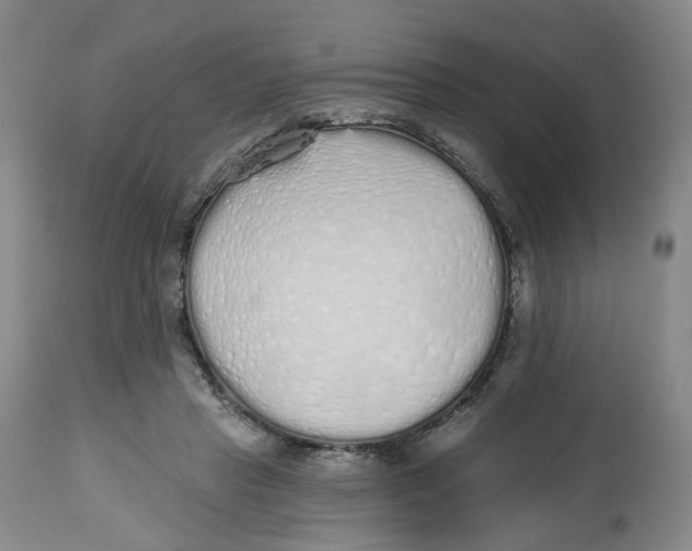 X0000112520453200909141227