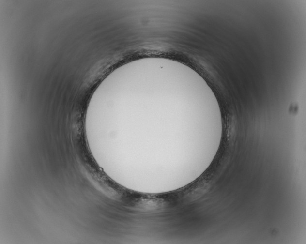 X0000112520455200909141227