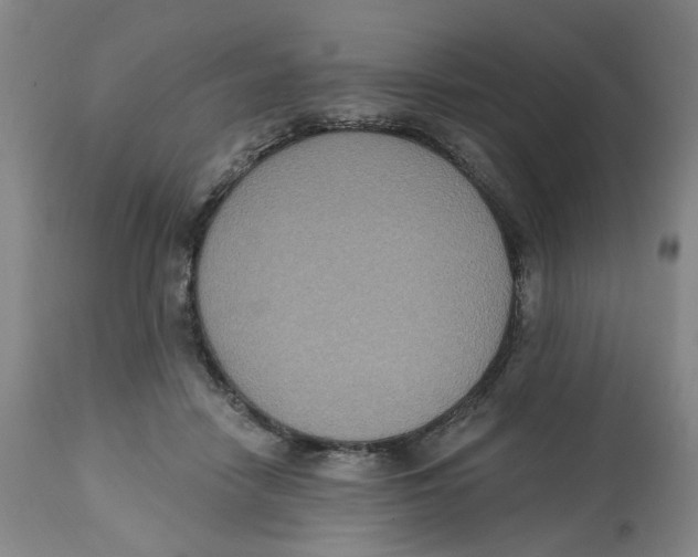 X0000112520458200909141227