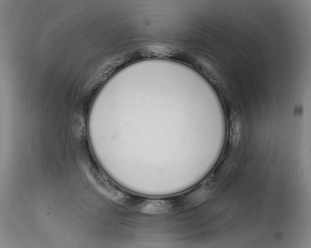 X0000112520459200909141227
