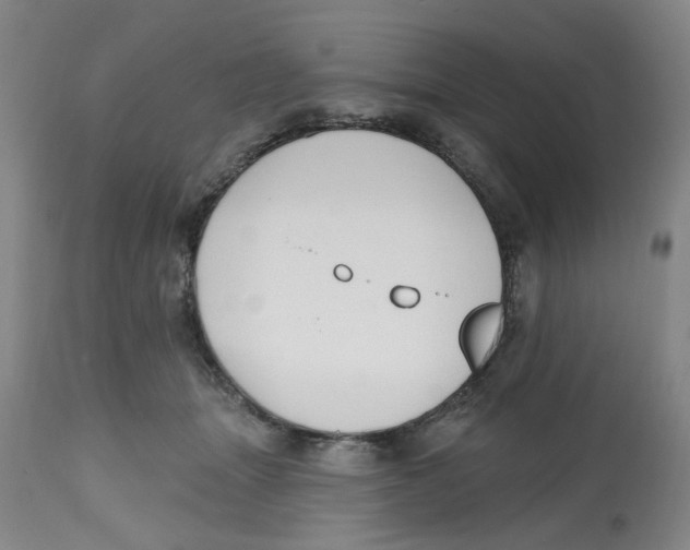 X0000112520463200909141227