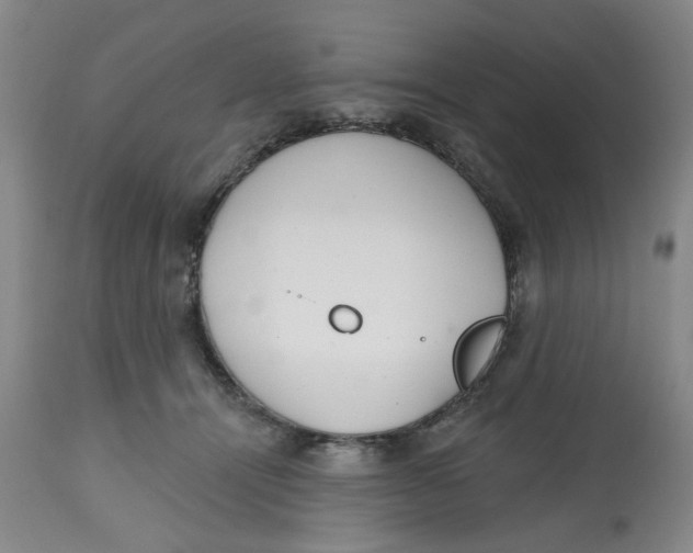 X0000112520464200909141227
