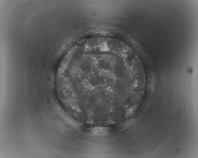 X0000112520465200909141227