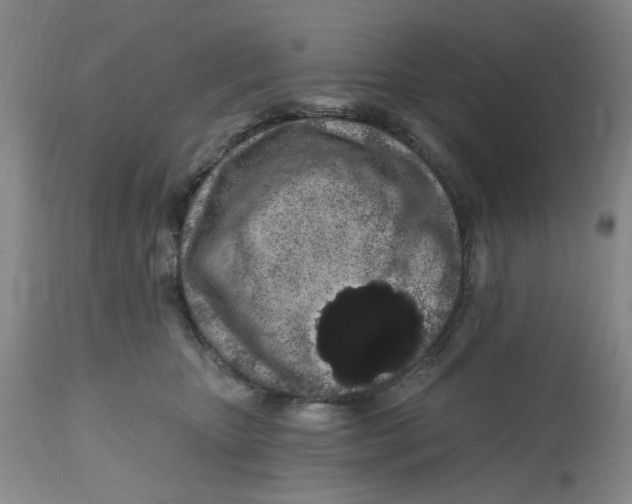 X0000112520467200909141227