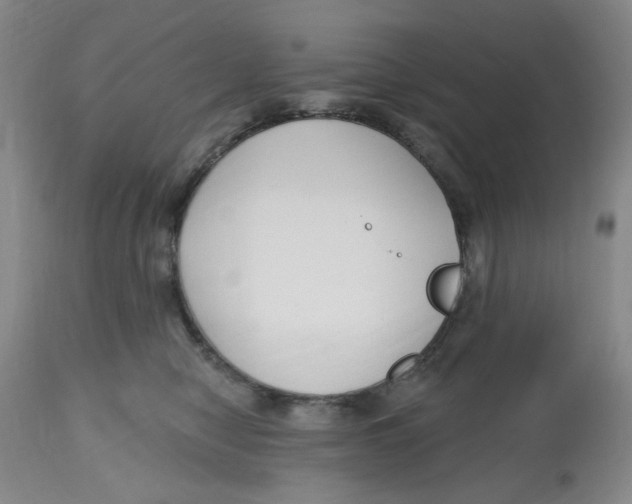 X0000112520470200909141227