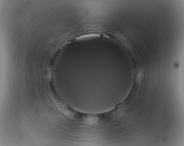 X0000112520471200909141227