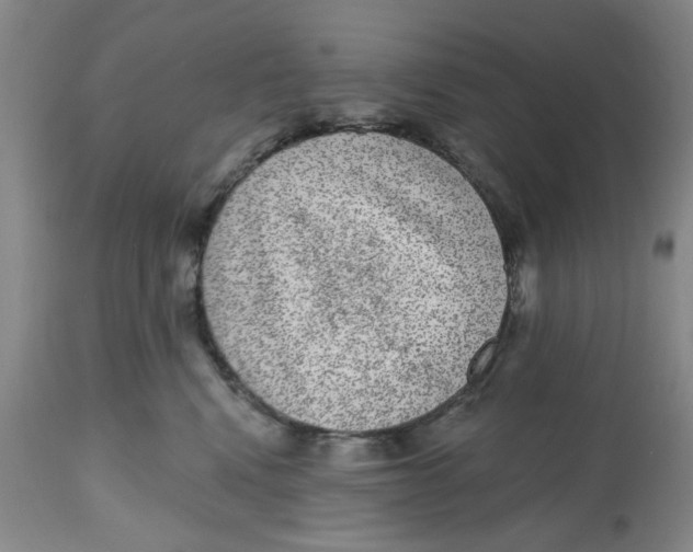 X0000112520472200909141227