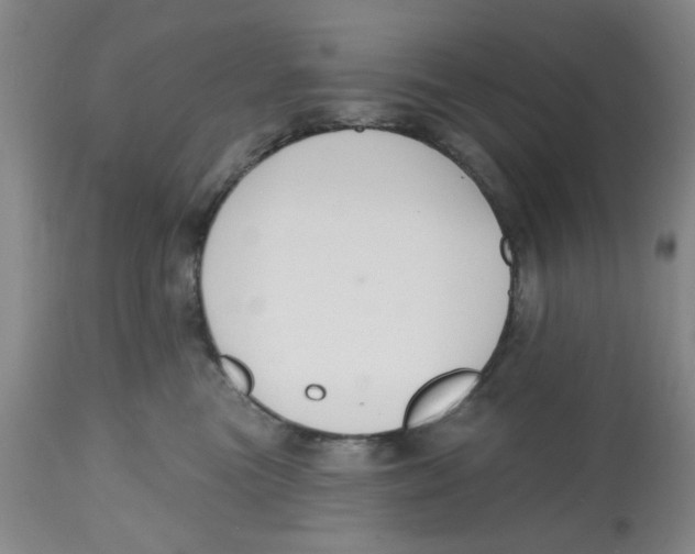 X0000112520473200909141227