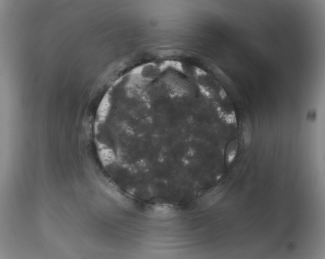 X0000112520475200909141227