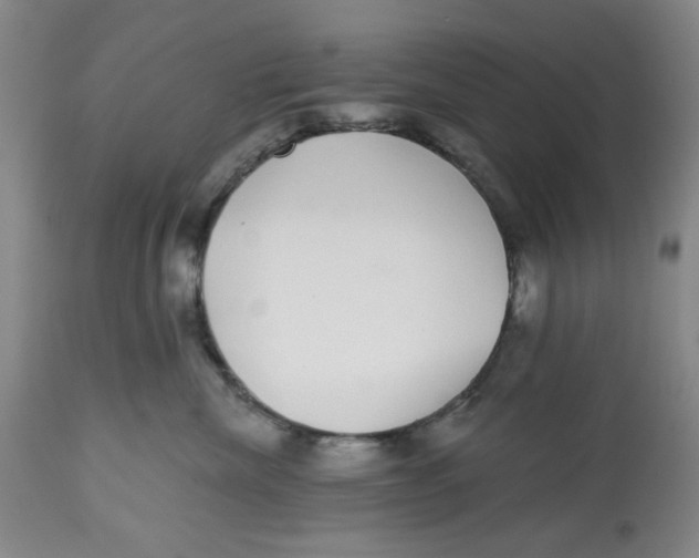 X0000112520476200909141227