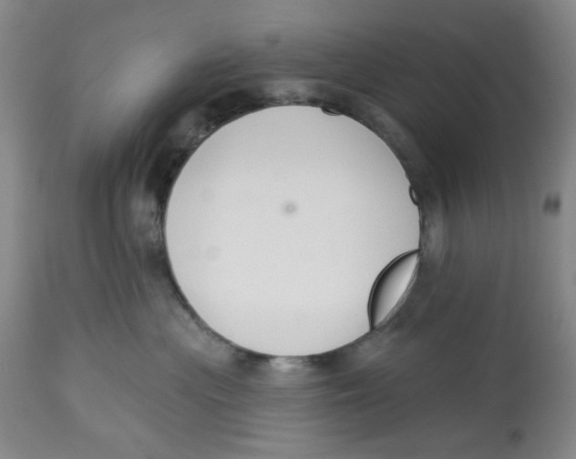 X0000112520477200909141227