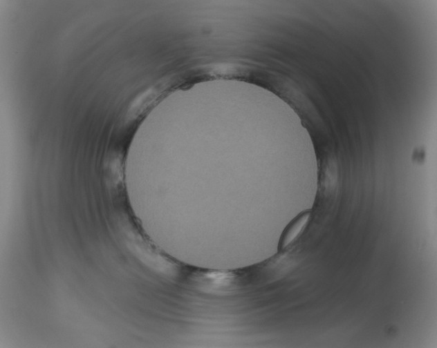 X0000112520478200909141227