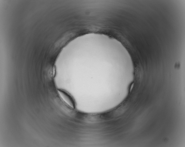 X0000112520479200909141227