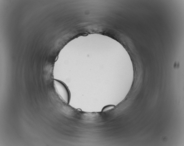 X0000112520480200909141227