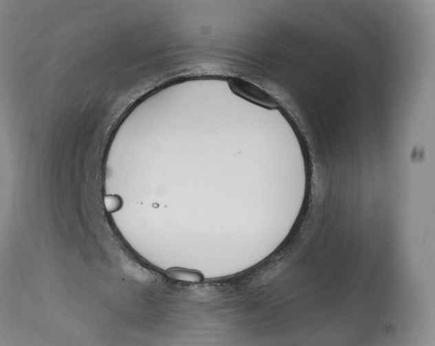 X0000112520481200909141226