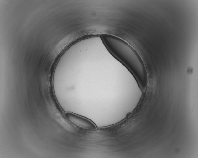 X0000112520485200909141226