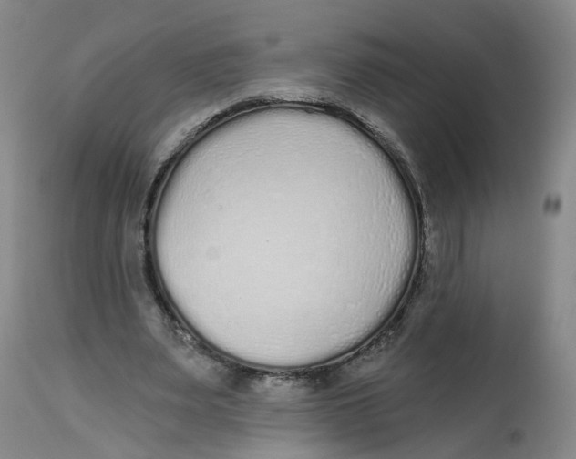 X0000112520487200909141226