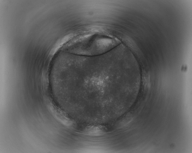 X0000112520488200909141226