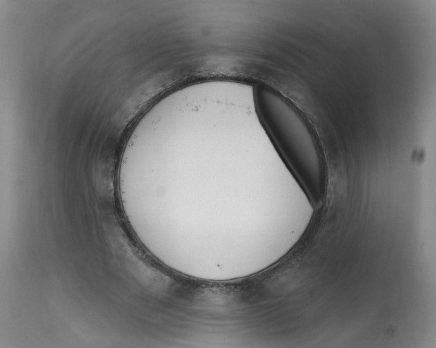 X0000112520489200909141226