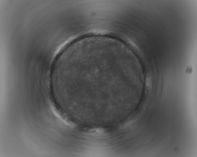 X0000112520492200909141226