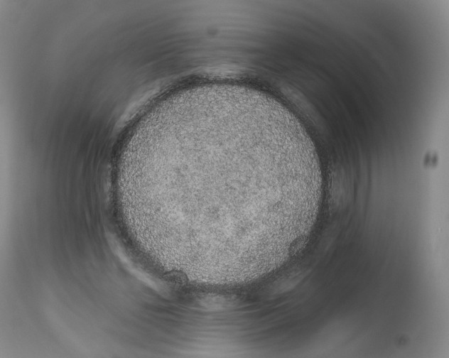 X0000112520494200909141226