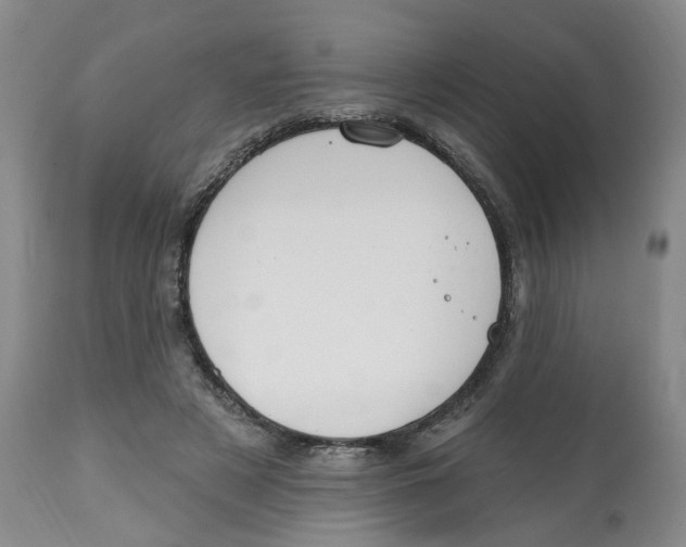 X0000112520497200909141226