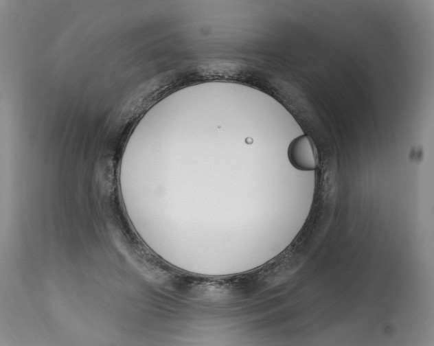 X0000112520498200909141226