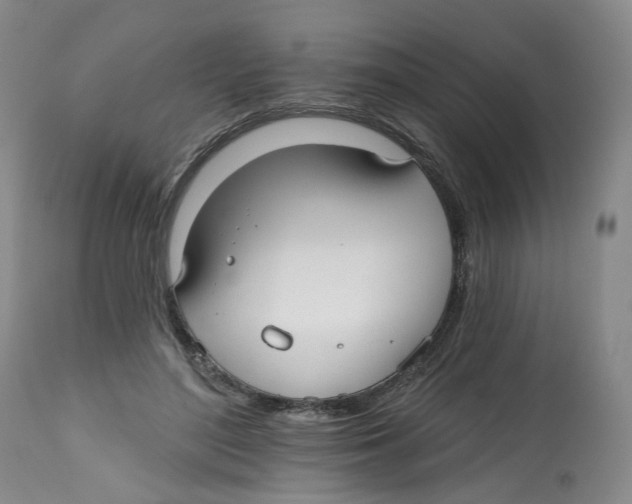 X0000112520500200909141226